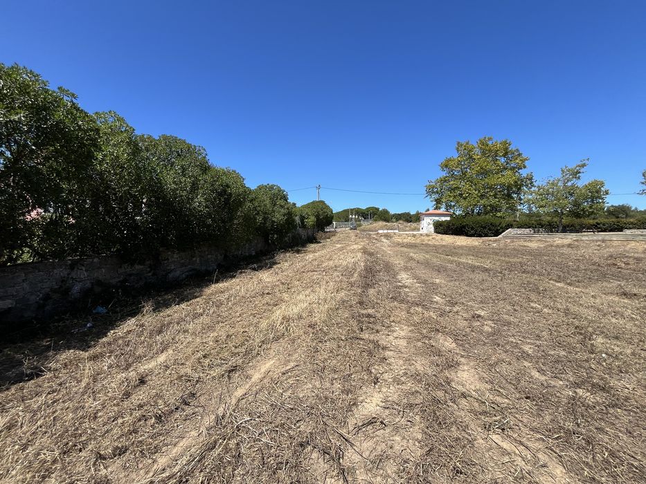 Limpeza de terrenos / corte de arvores etc…