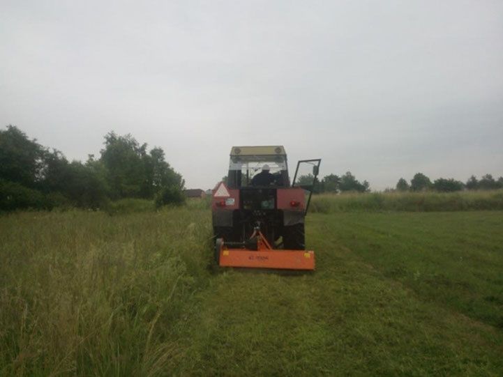 Usługi ogrodnicze , Koszenie traw, wycinka drzew, odśnieżanie