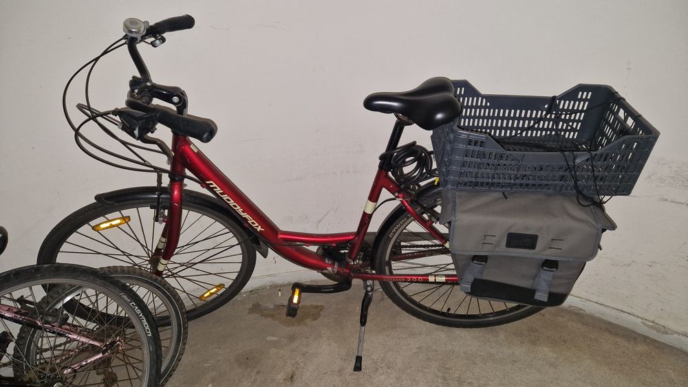 Bicicletas 24" e 29"