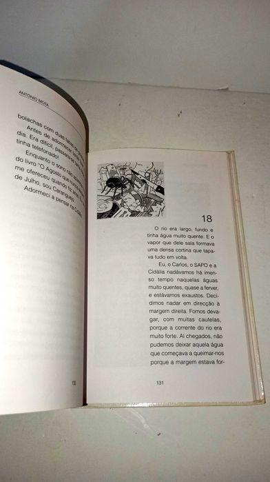 Fora de Serviço - António Mota