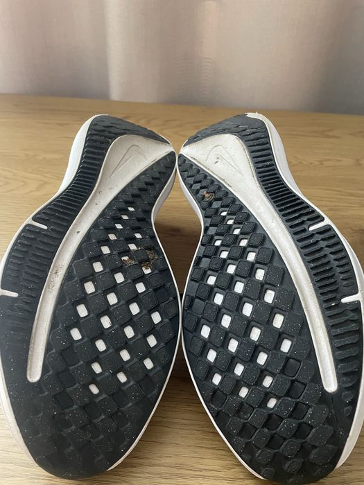 Чоловічі кросівки Nike Air WINFLO 10.