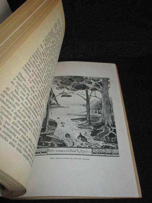 Livro O Hobbit J. R. R. Tolkien 1ª edição 1985