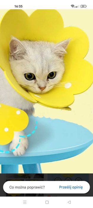 Kołnierz dla psa kota