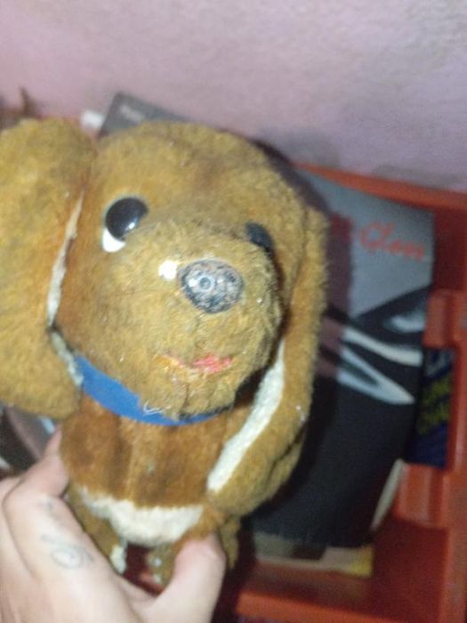 Brinquedo cao pilhas nao sei se fuciona