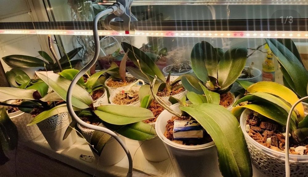 Фито светильник Samsung LM301B – 40 ватт