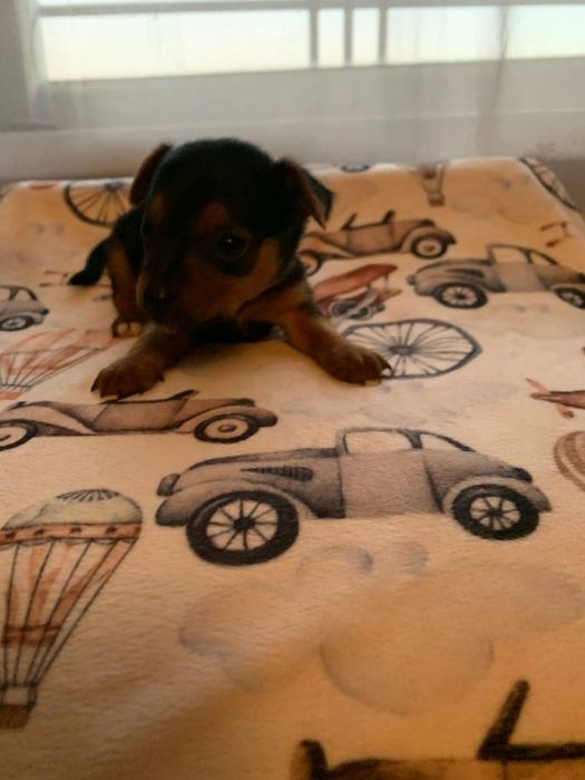 Милейшие малыши ждут своих пап,мам