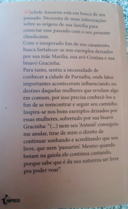 GRAÇA DO RIO - Romance de Fernando Basto Ferraz