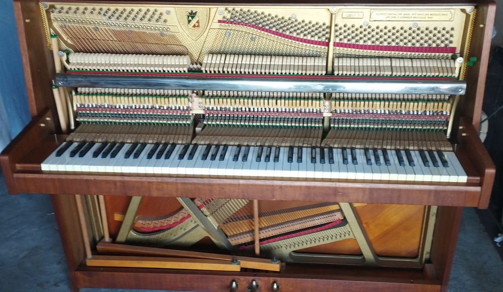 Piano Petrof transporte e afinação incluídos