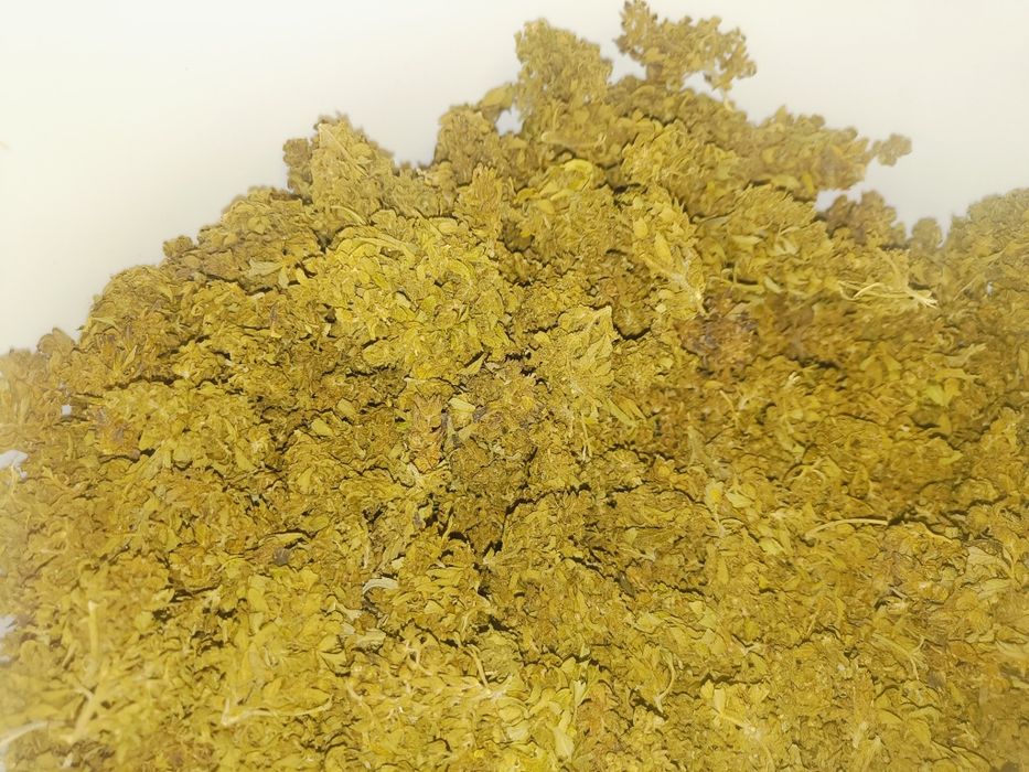 100g CBDV auto Victory  susz CBD
