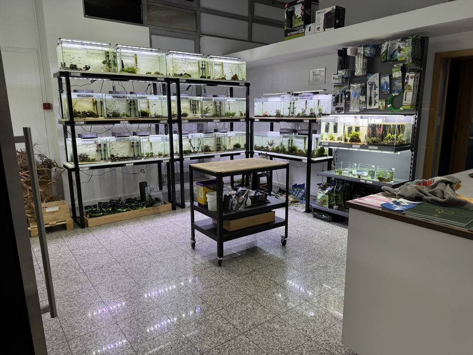 Passo Loja de Aquariofilia em São Mamede