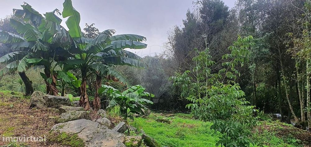 Terreno  para venda