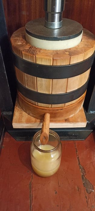 Кедровое масло свежевыжатое,Жива олія Сибірського кедру,Кедровое масл