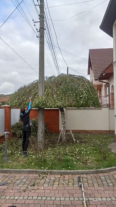 Послуги садівника