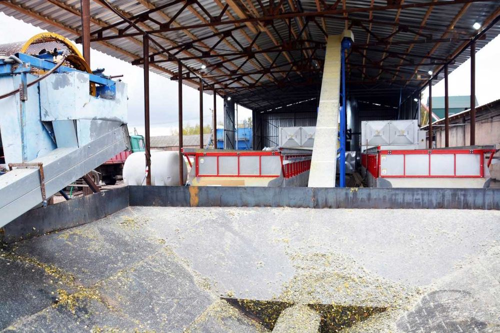 Стіл для сушіння гарбузового насіння / гарбузовий стіл PHOENIX 12*2