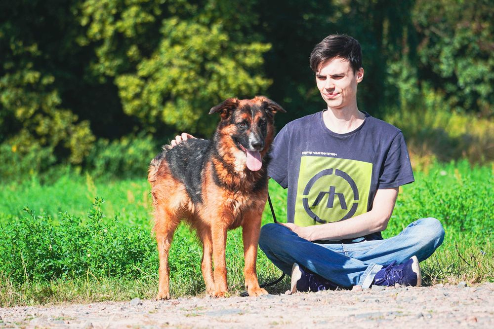 Bośnia - przepiękna sunia czeka na dom