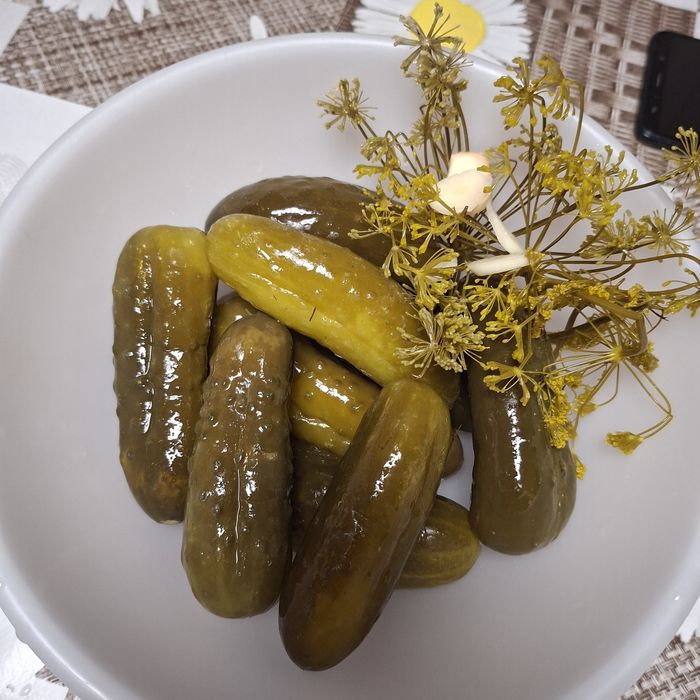 Ekologiczne ogórki kiszone w bańce 5L