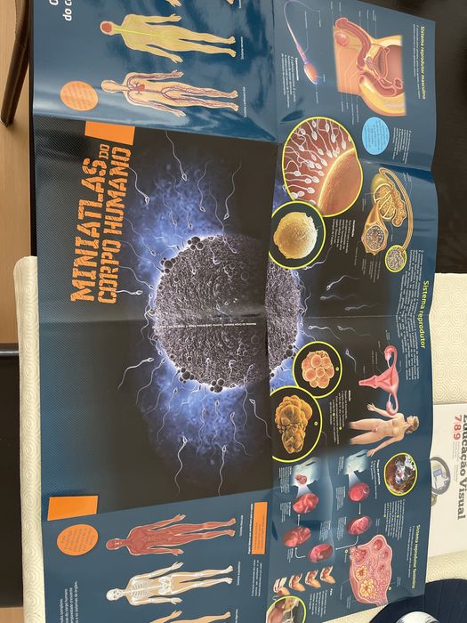 Caderno de Atividades Ciências Naturais 9 ano