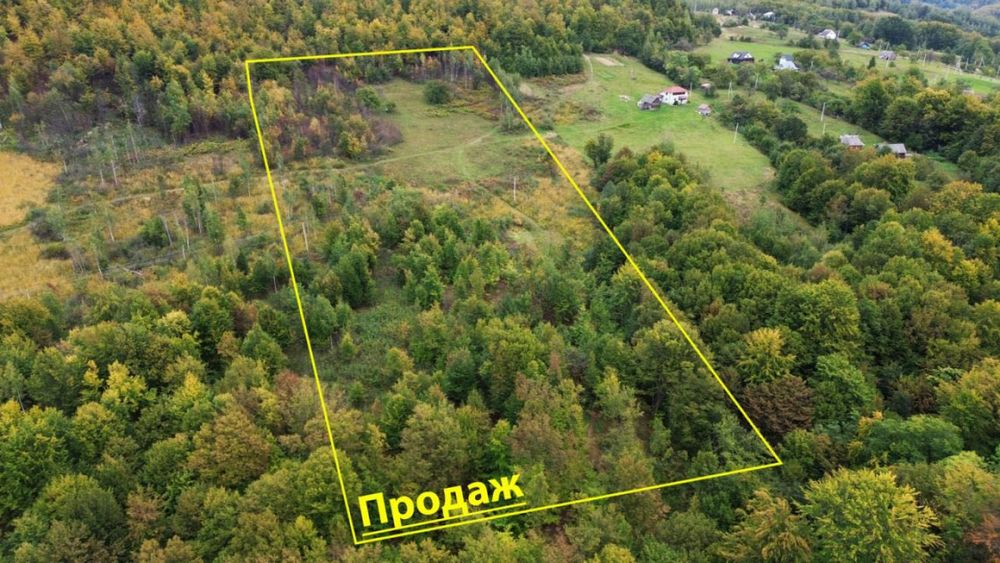 Ділянка в Карпатах.