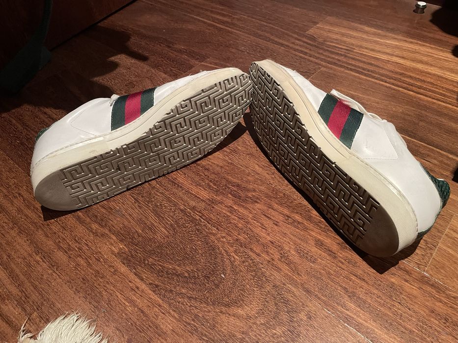 Tenis Gucci originais