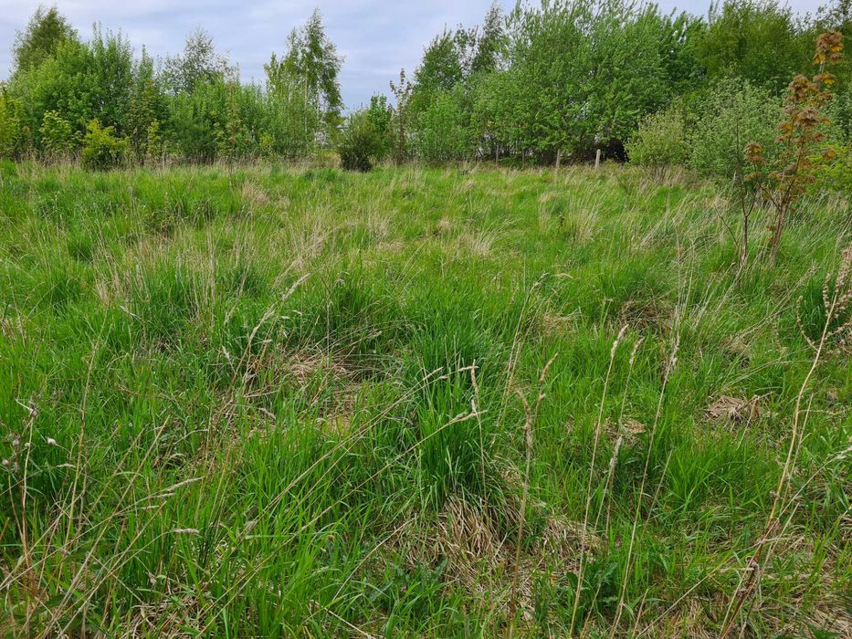 Działka budowlana Sarbinowo - Widok 2