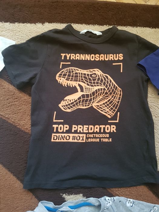 Zestaw chłopięcych t-shirtów rozm. 110/116