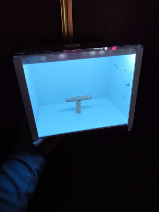 Estúdio fotográfico para Aves