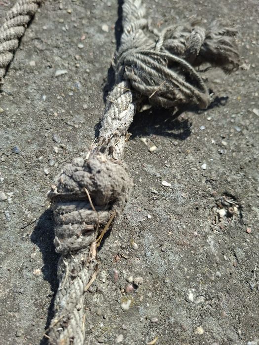 Lina z metalowym hakiem