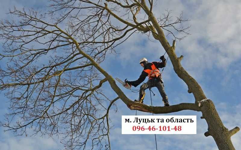 Видалення зрізання спил обрізка кронування валка дерев