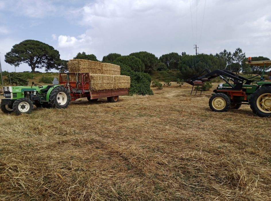 Fardos de feno 2025