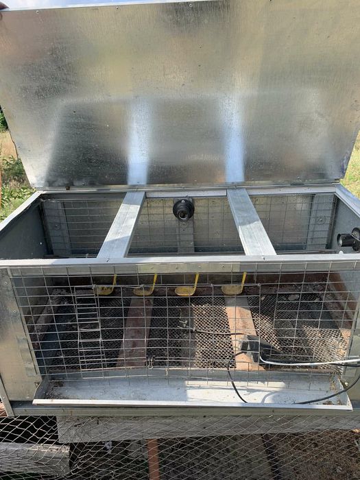 Брудер-ясла для курчат