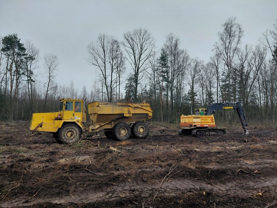 Usługa mulczerem wgłębnym, harwesterem forwarderem las samosiejki