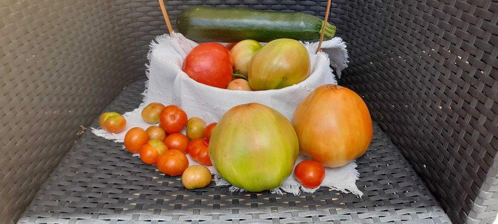 Tomate Cherry e Coração de Boi