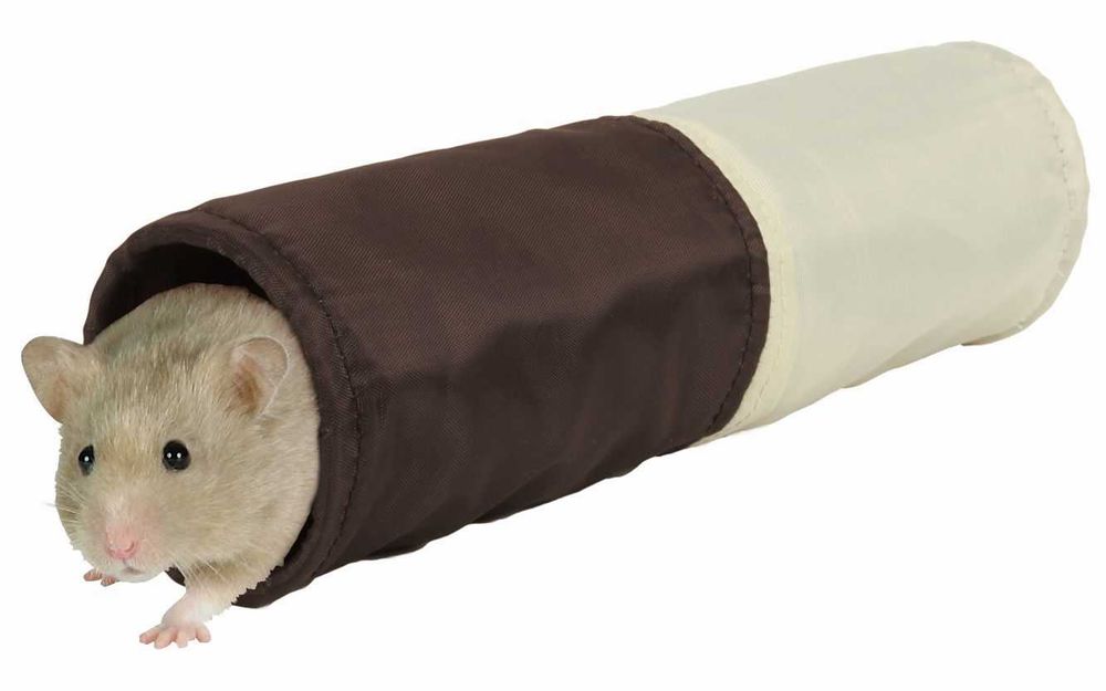 Artigos para hamsters & ratinhos