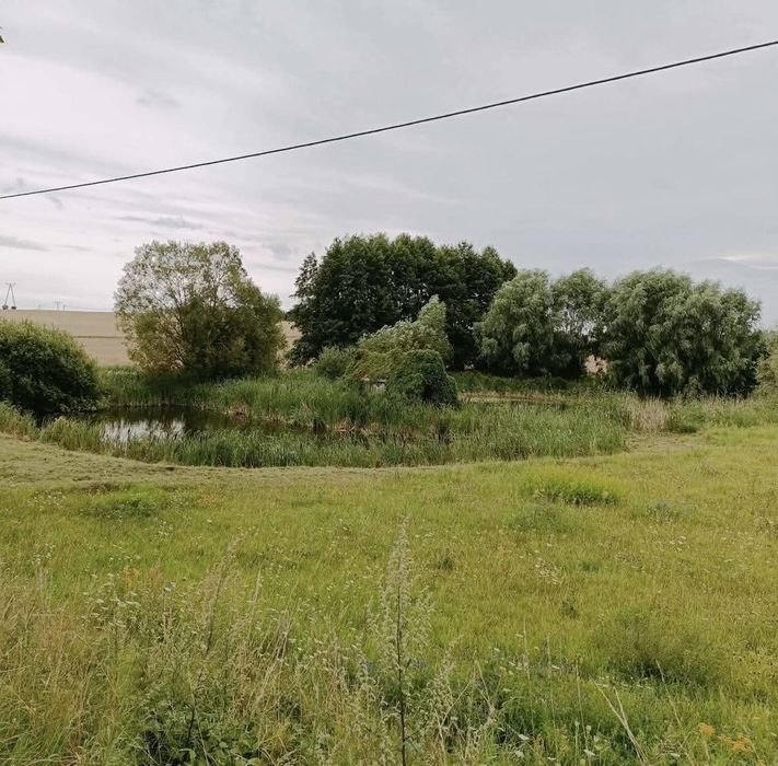 Siedlisko marzeń: 1,08 ha zarybionych stawów + 3399 m² budowlanej | 4 km od Sztumu