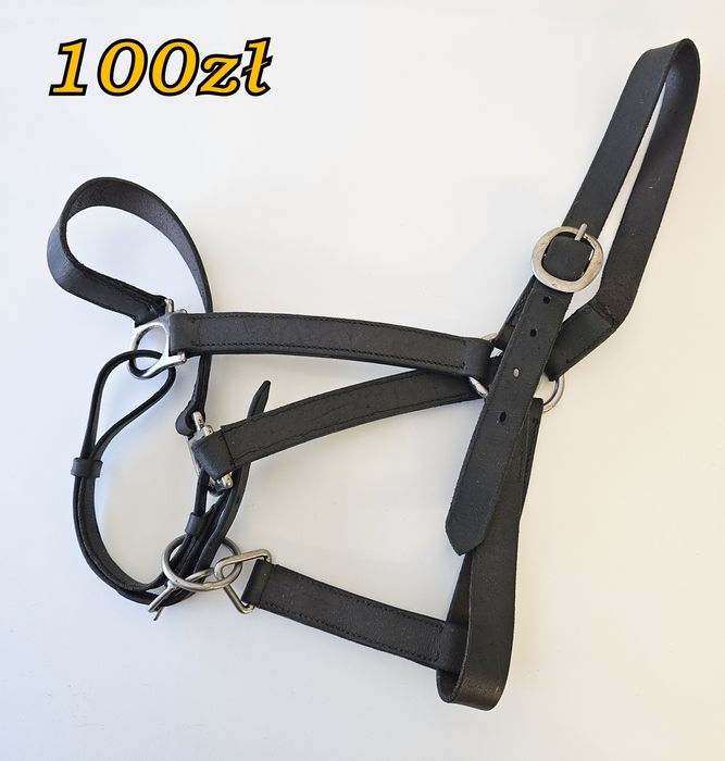kantar skórzany dla konia