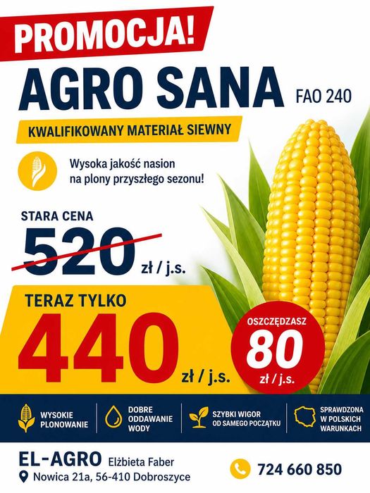 Kukurydza AGRO SANA C1 FAO 240 | Agro Mais | kurier PROMOCJA