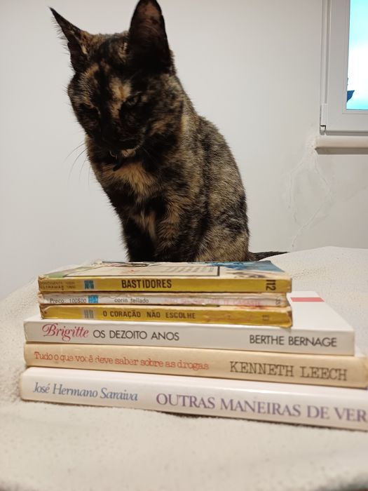 Vários livros antigos