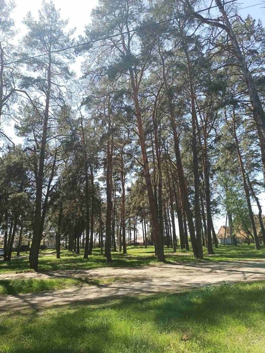 Продаж дачі 4 сотки Чернігів ст Хімік