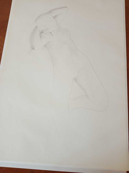 Rysunek tuszem , akt