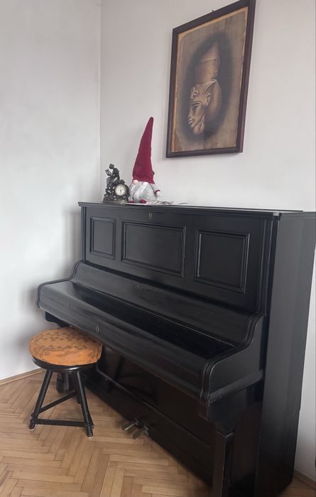 Pianino Karl Foerster Muenstetberg