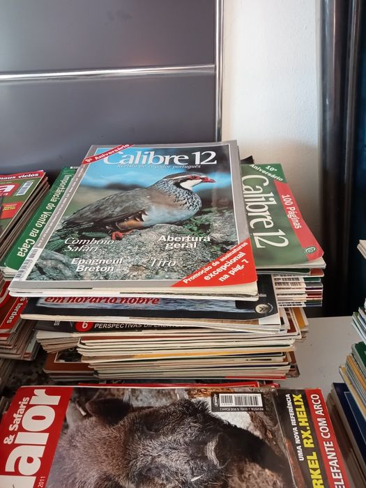 Conjunto de revistas de caça