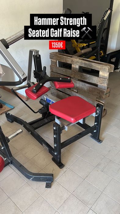 Lote Hammer Strength
