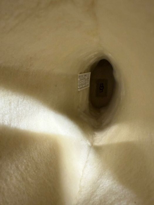 Сапоги UGG оригинал