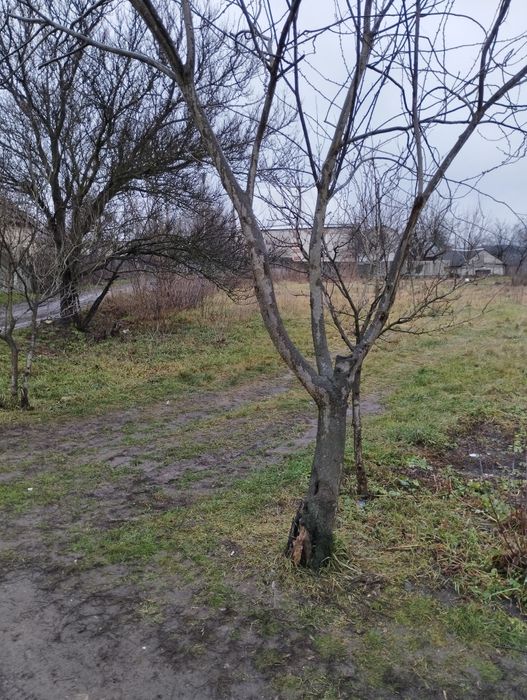 Продаж землі під будівництво