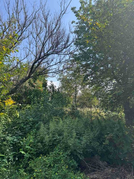 Продам дачу + 7с.з по Барському шосе