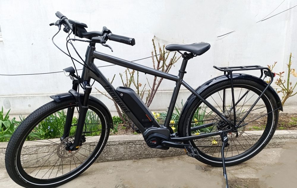 Електровелосипед Diamant Zing Deluxe