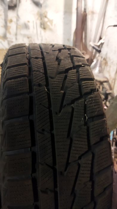 Резина 16 преміорі .