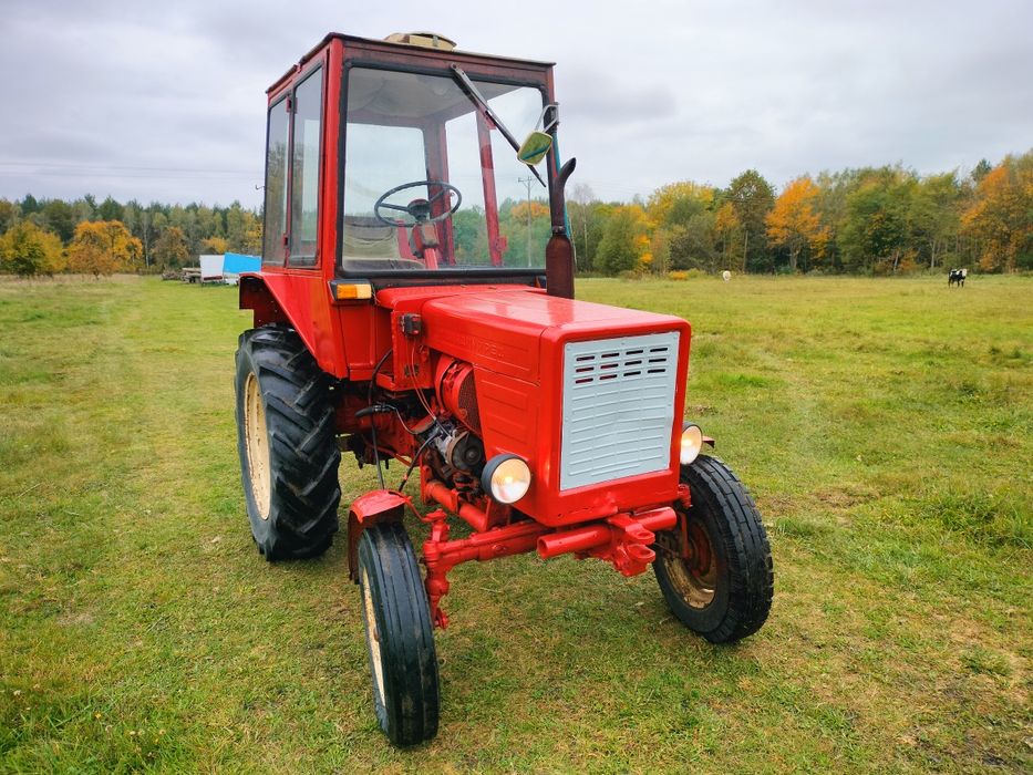 Władymirec władek t25