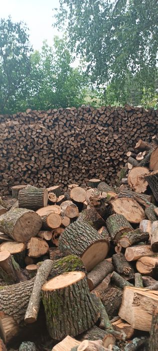 Продам дрова дубовые