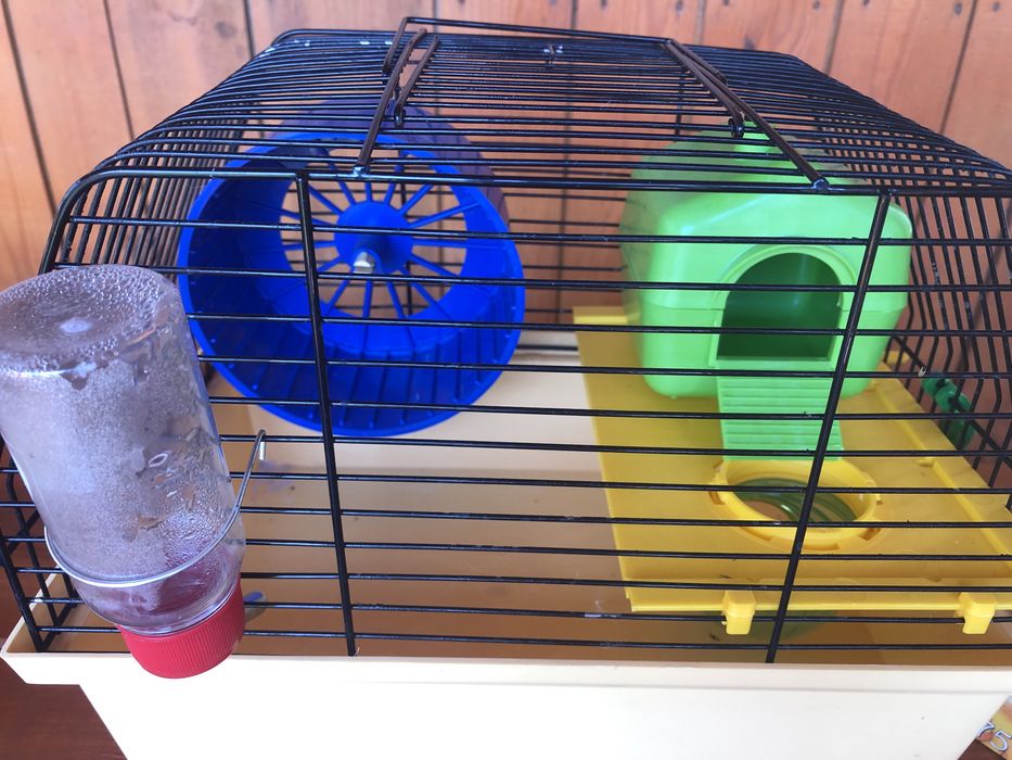 Клітка для гризунів( корм та тирса безкоштовно)